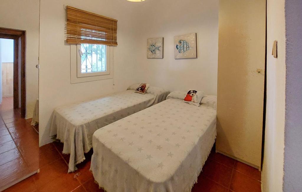 La Marciana - Piscina Pista Tenis Futbol Y Baloncesto Privado - Bungalow Externo Independiente Chiclana de la Frontera Zewnętrze zdjęcie